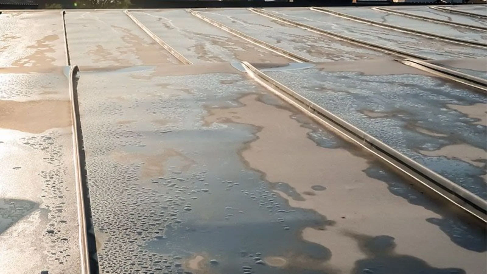 Commercial Ponding Water Roof Repair in High Point, NC